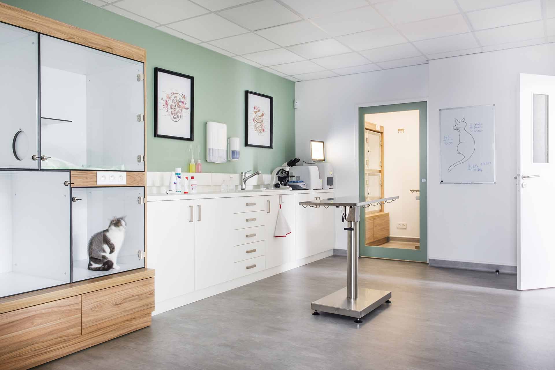 Clinique veterinaire felisante 44 5